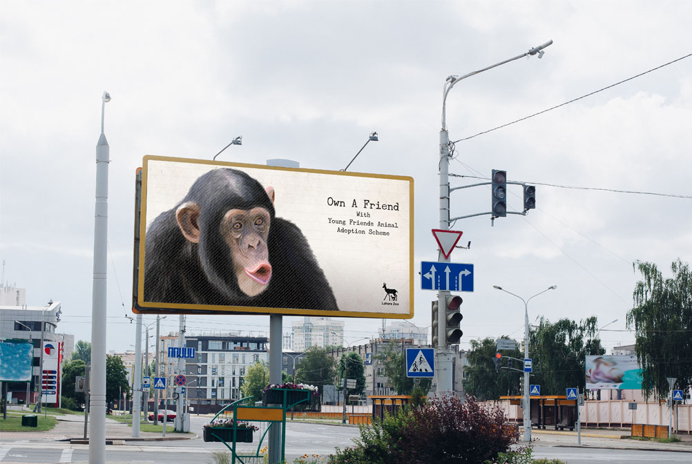 Hoarding-Design-Banner-01